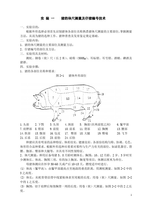 动科093班《猪生产学实验指导书》