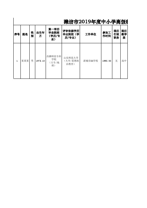 10-2.2019年度中小学高级汇总花名册模板(非常重要)