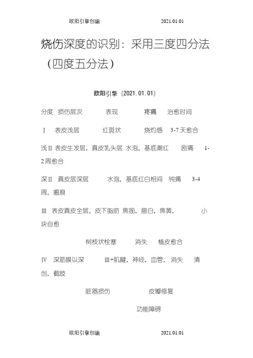 烧伤分度之欧阳引擎创编