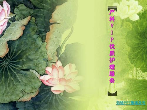 优质护理服务课件
