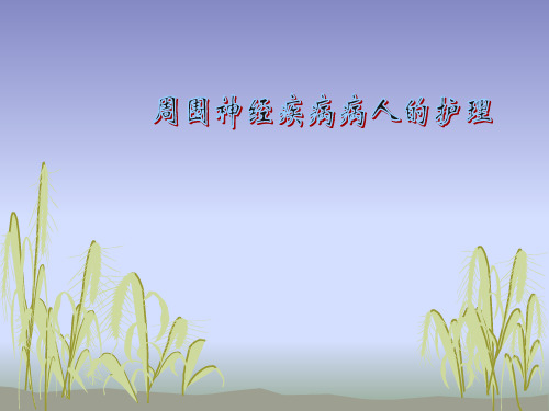 内科护理学周围神经疾病护理精品PPT课件