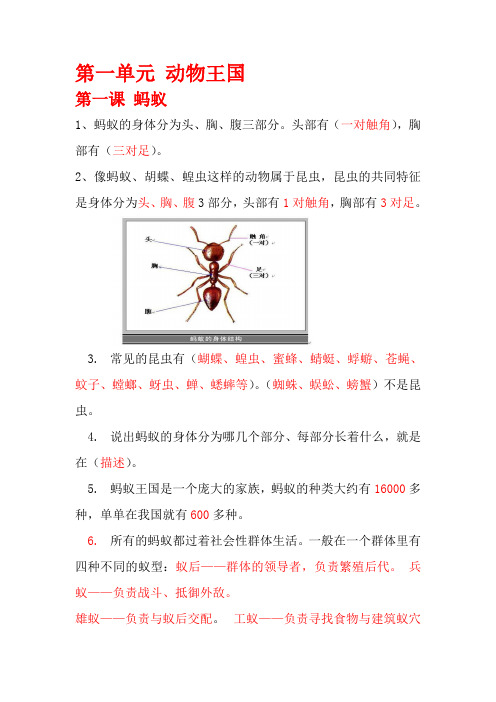 2020年 青岛版四年级上册科学全部知识点