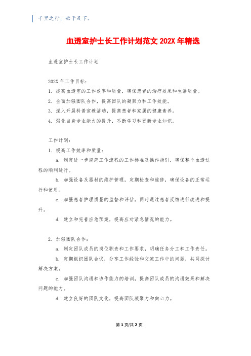 血透室护士长工作计划范文202X年精选