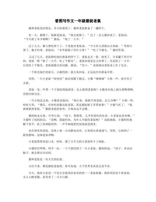 看图写作文一年级猫捉老鼠