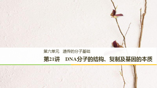高考生物一轮复习 第6单元 遗传的分子基础 第21讲 DNA分子的结构、复制及基因的本质课件.ppt