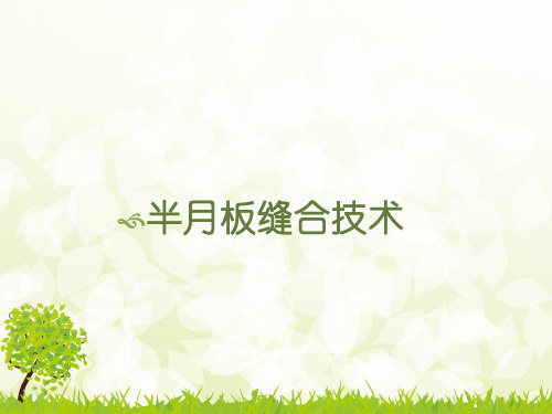 施乐辉半月板缝合