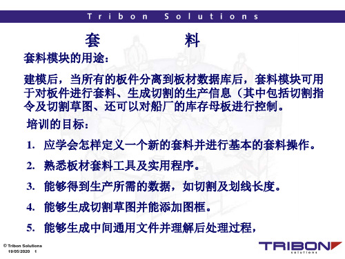 船舶设计软件 TRIBON  nesting船体套料讲解