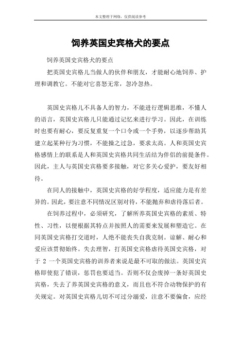 饲养英国史宾格犬的要点