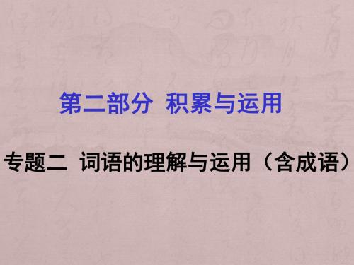 2017届中考语文考点突破专题复习-词语的理解与运用课件