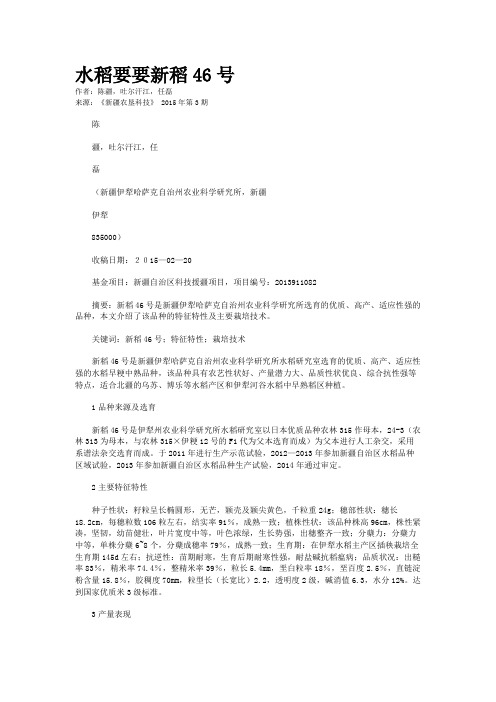水稻要要新稻46号