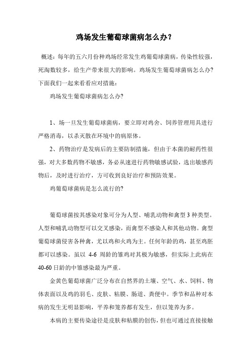 鸡场发生葡萄球菌病怎么办？.doc