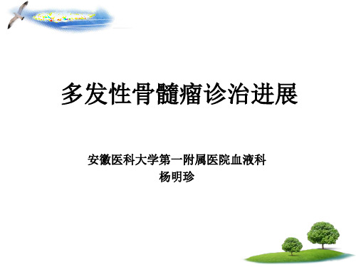 MM治疗进展