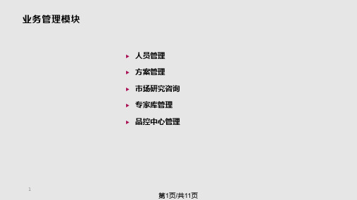 世联营销顾问业务模式PPT课件