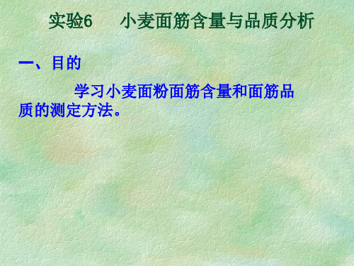 学习小麦面粉面筋含量和面筋品质的测定方法