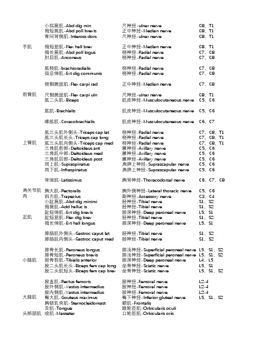 肌电图中英文