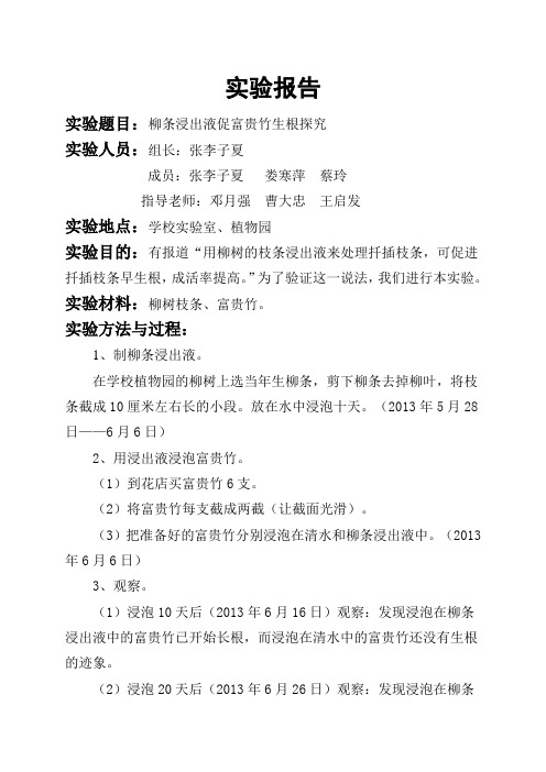 实验报告