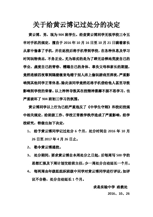 处分说明