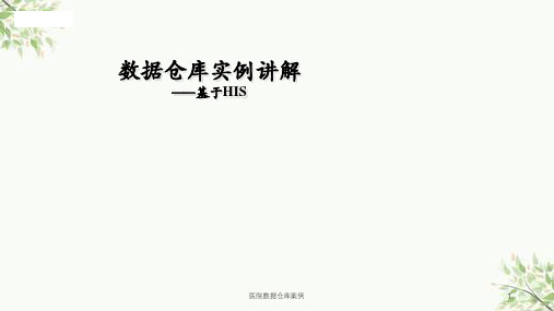 医院数据仓库案例课件