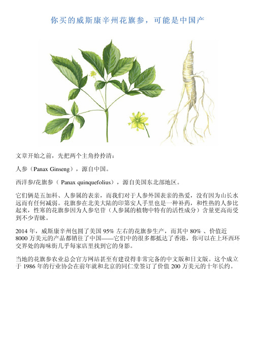 你买的威斯康辛州花旗参,可能是中国产