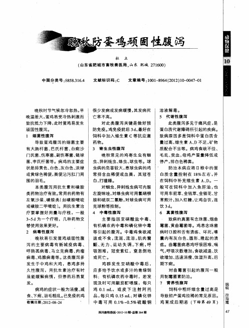 晚秋防蛋鸡顽固性腹泻