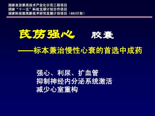 2009芪苈强心推广幻灯