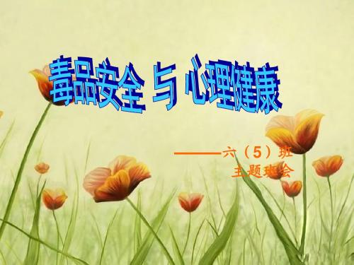 毒品安全与心理健康课件.