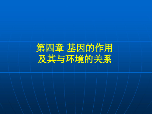 基因作用及其与环境的关系精品PPT课件