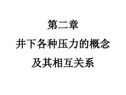 (井控技术)第二章 压力的概念