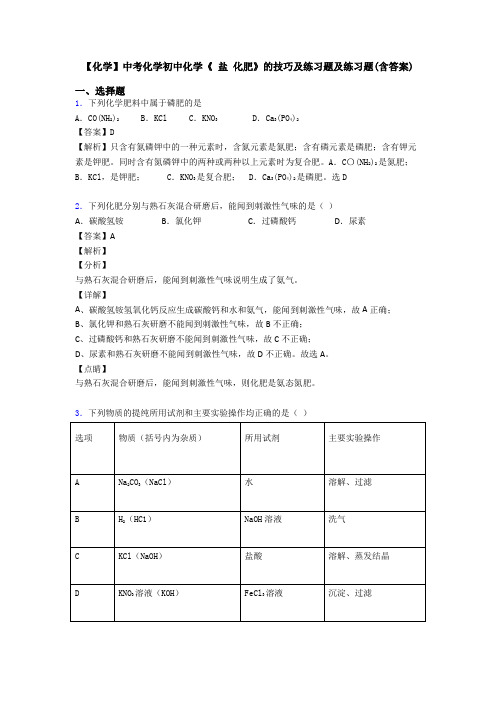 【化学】中考化学初中化学《 盐 化肥》的技巧及练习题及练习题(含答案)