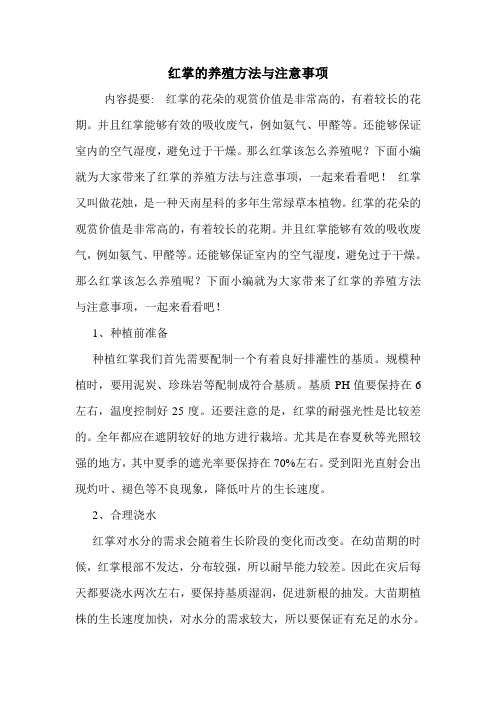 红掌的养殖方法与注意事项.doc