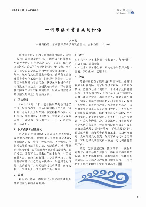 一例雏鹅曲霉菌病的诊治