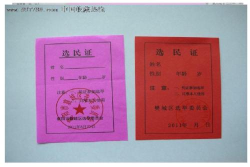 11课选票的分量