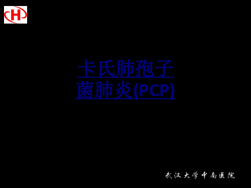 医学卡氏肺孢子菌肺炎PCP课件(0001)
