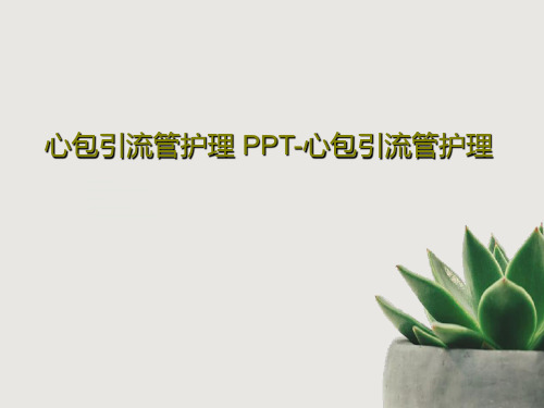 心包引流管护理 PPT-心包引流管护理共26页文档