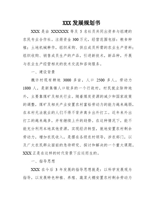XXX发展规划书
