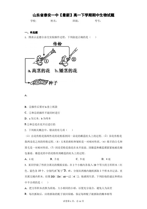 山东省泰安一中2020-2021学年高一下学期期中生物试题含答案解析