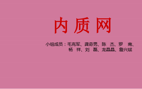 细胞生物学内质网ppt课件