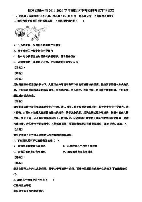福建省泉州市2019-2020学年第四次中考模拟考试生物试卷含解析