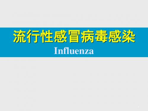 流行性感冒病毒感染ppt课件