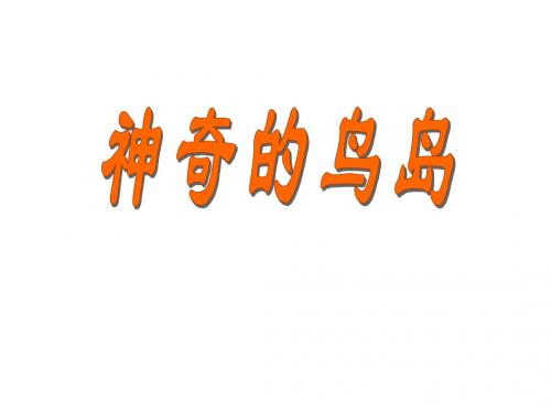 四年级语文上册《神奇的鸟岛》课件3语文A版