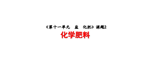 人教版九年级化学 第十一单元 课题2化学肥料 课件(共28张PPT)