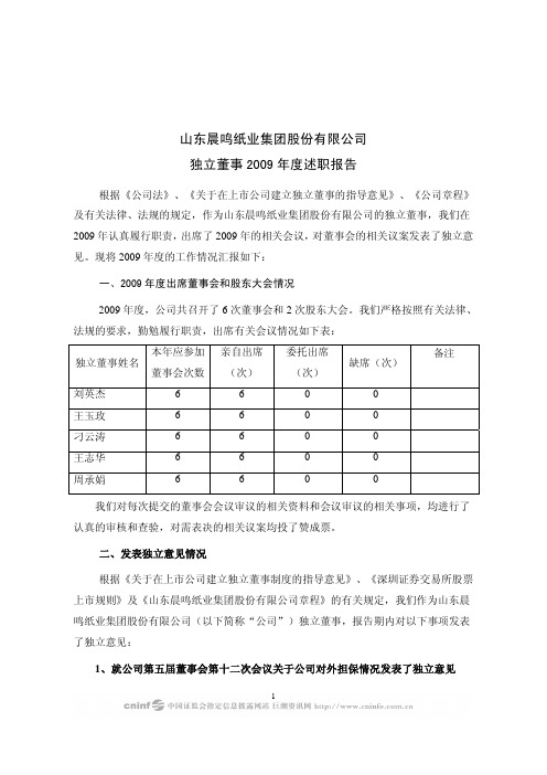山东晨鸣纸业集团股份 公司独立董事 述职报告