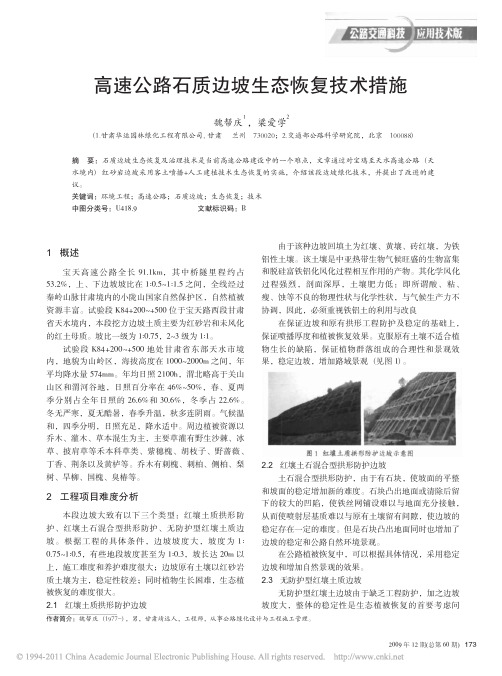 高速公路石质边坡生态恢复技术措施