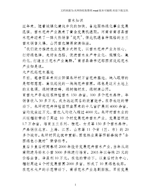 南召玉兰花卉苗木产业实现富民强县