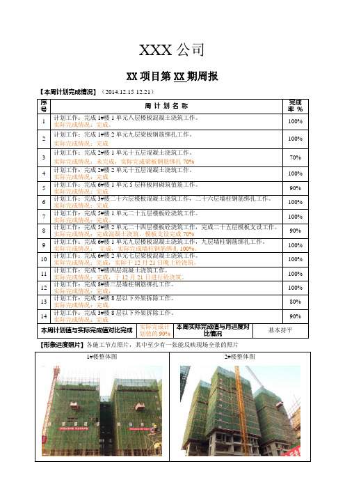 工程项目周报(图表)