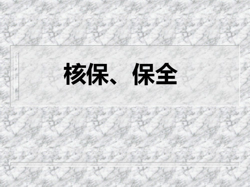 核保、保全PPT课件