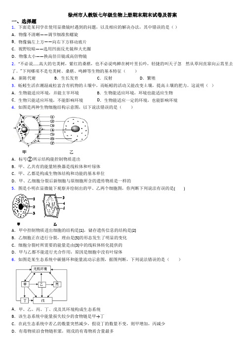徐州市人教版七年级生物上册期末期末试卷及答案