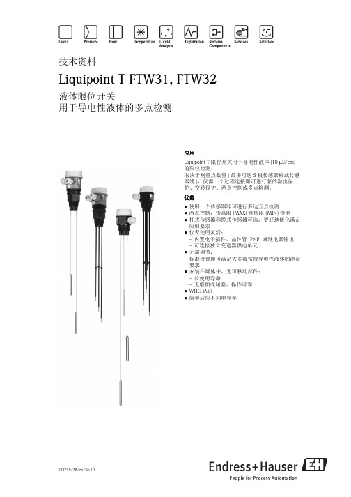 E+H限位开关FTW31_FTW32