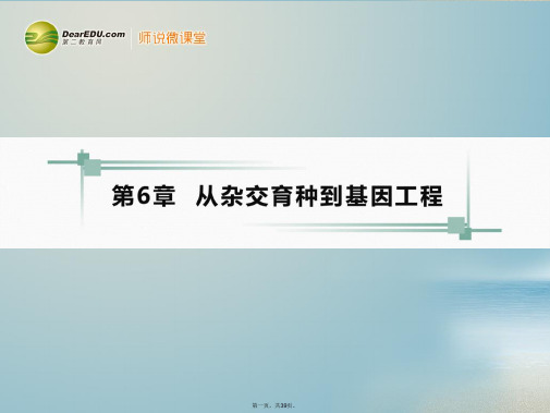 高考生物一轮复习 第六章 第1、2节杂交育种与诱变育种基因工程及其应用课件 新人教版必修2 