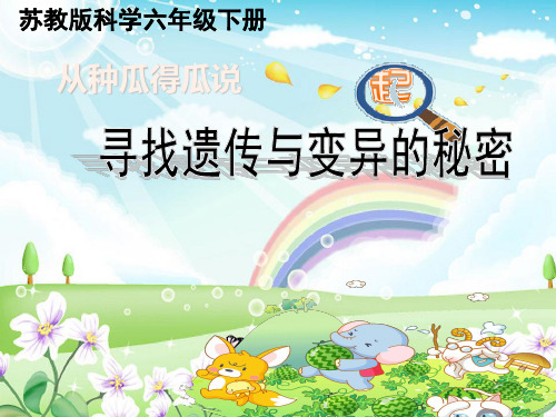 六年级下册科学-寻找遗传与变异的秘密｜苏教版PPT(51张)